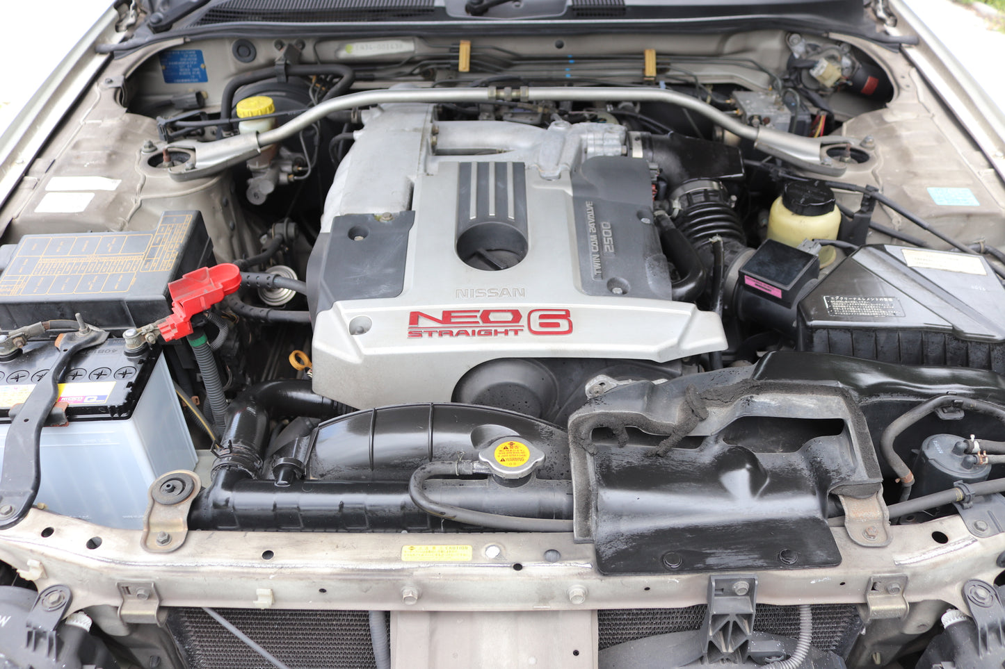 1998 NISSAN SKYLINE R34 25GT-X AT #1300318