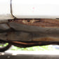 1995 NISSAN SKYLINE GT-R BCNR33 MT #2100763