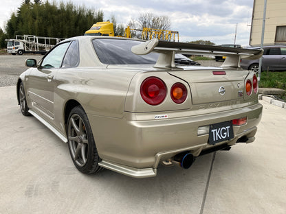 2001 NISSAN SKYLINE R34 GT-R M-Spec #1101375