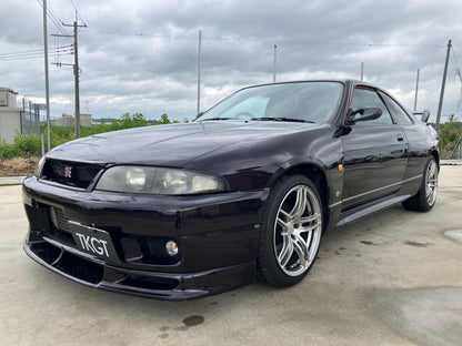 1995 NISSAN SKYLINE GT-R BCNR33 #2101165