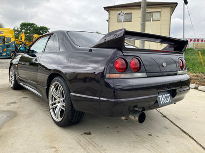 1995 NISSAN SKYLINE GT-R BCNR33 #2101165