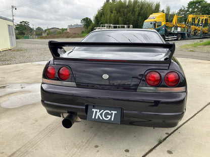 1995 NISSAN SKYLINE GT-R BCNR33 #2101165