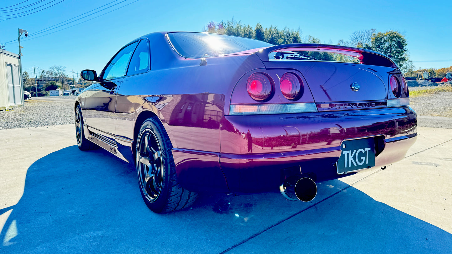 1994 NISSAN SKYLINE R33 GTS25T TYPE-M MT #1101627