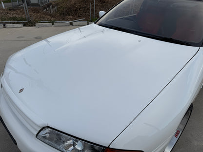 1994 NISSAN SKYLINE GT-R BNR32 #3100085