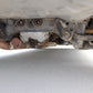 1998 NISSAN SKYLINE R34 25GT AT #2142